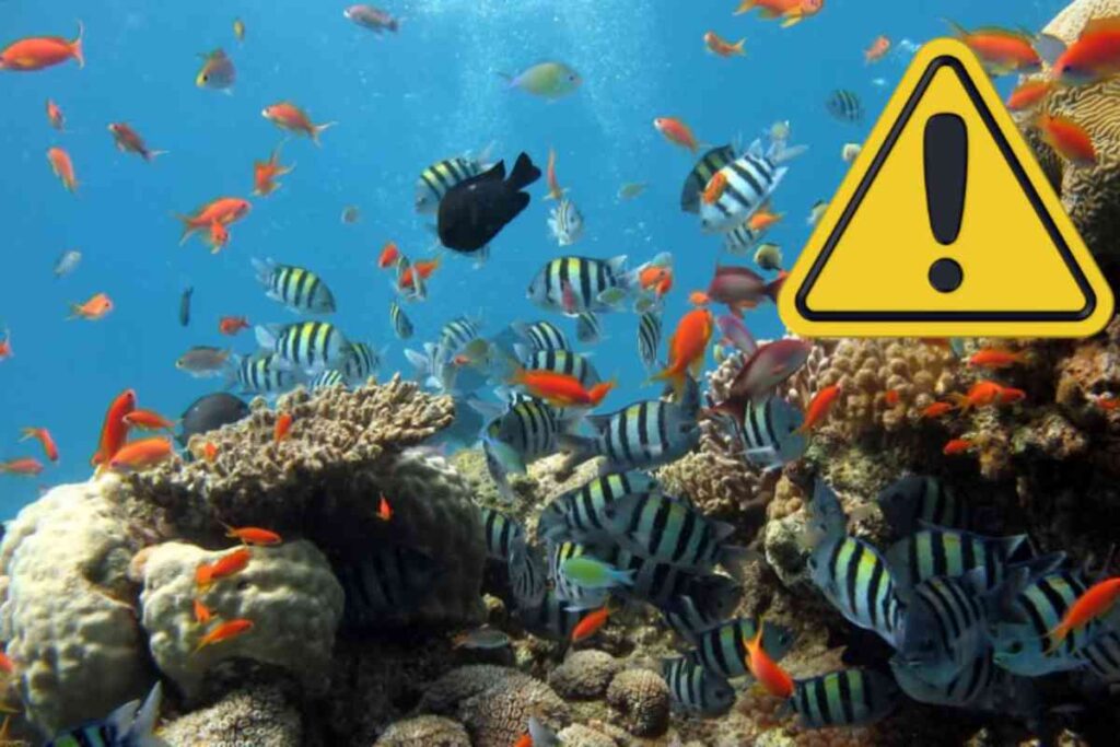 Emergenza in mare