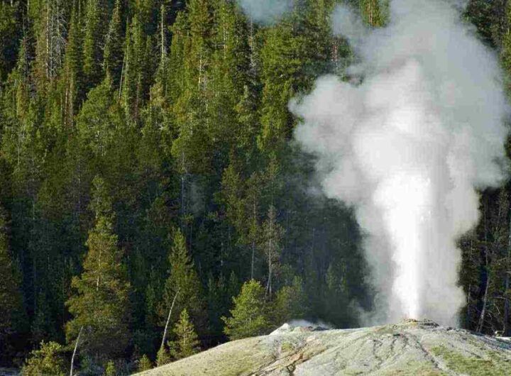 Un'estate avventurosa alla ricerca dei geyser più potenti della Terra, ecco quali sono